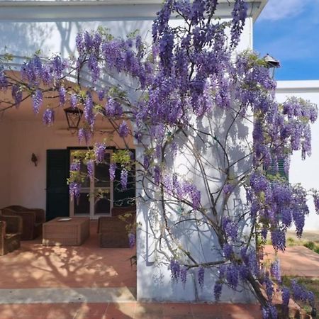 Villa Francesca - Camere Con Giardino كاستلانيتا المظهر الخارجي الصورة