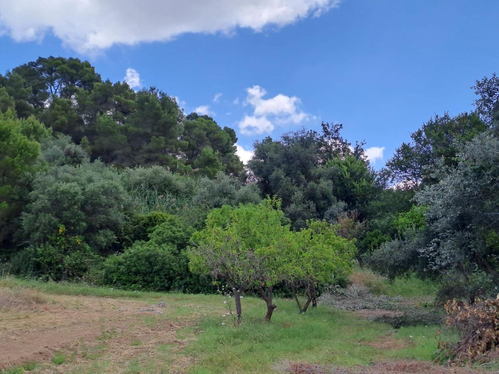 Villa Francesca - Camere Con Giardino كاستلانيتا المظهر الخارجي الصورة