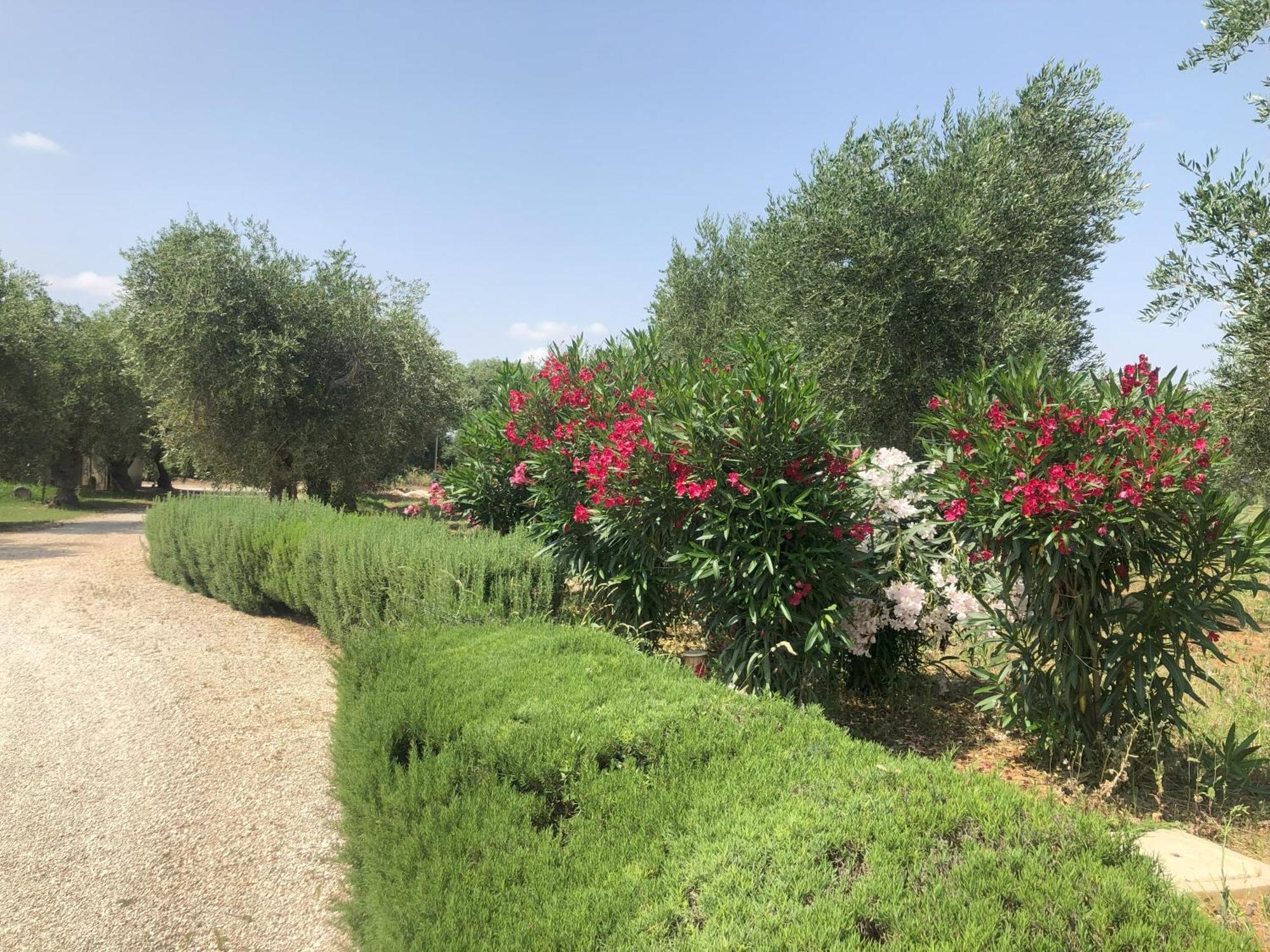 Villa Francesca - Camere Con Giardino كاستلانيتا المظهر الخارجي الصورة
